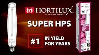 EYE Hortilux Super HPS Grow Lamp