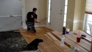 Light oak Flooring Excel Floors Barrington