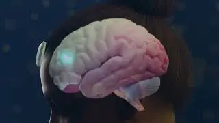 How to Induce a Lucid Dream
