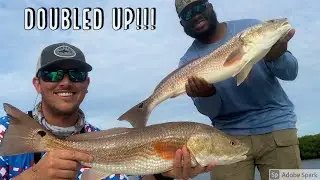 Topwater Fishing in Ozello!!