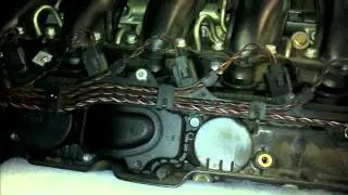 BMW X5 E53 Air Filter & PCV Replacement 3.0 Diesel How to DIY: BMTroubleU