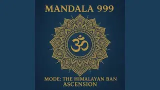 FIREWIRE KUNDALINI