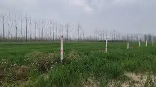 24 bihga agriculture land for sale in UK near biharighad very cheap price 8 lakh par bihga 