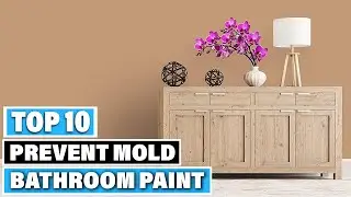 Bathroom Paint to Prevent Mold: ✅ Best Bathroom Paint to Prevent Molds 2025(Buying Guide)