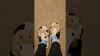 🐮 Cute cow slippers #shorts #short #cute #kawaii #cow #fun #funny #fashion #animals