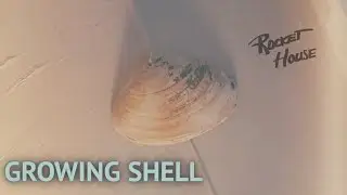 Growing Shell - Rocket House [LIVE SESSION]