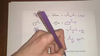 Example Test Questions 7