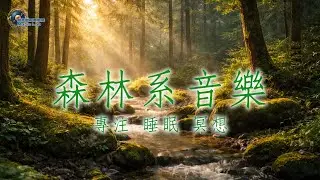 Forest Piano & Guitar 🌿 森林系鋼琴與木吉他｜自然系放鬆音樂（1 Hour）