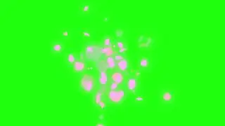 4K Magical Pink Petals Green Screen Effect Free Download