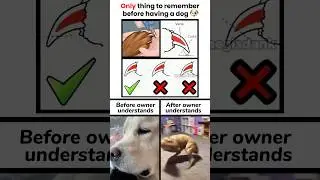 Funny story memes