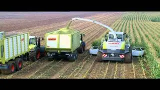 CLAAS JAGUAR ORBIS / 2006