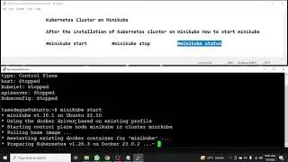 How to check minikube status on the Kubernetes Cluster