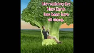 New Earth broccoli trees.