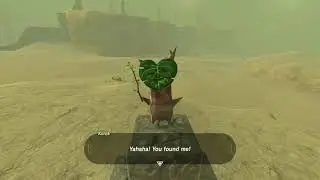 Korok seeds | Palu Wasteland | Wastland Tower #55 | Zelda BOTW