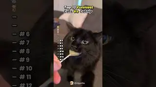 #находить