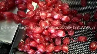 High Speed chain type forming machine ( Hard candy & chewy candy & toffee) JOHN LIU 2