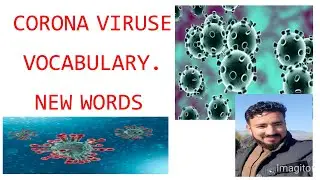 corona viruse vacabulary / terms / words / words about covid - 19