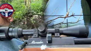 Cacer&iacute;a de palomas con rifle pcp benjam&iacute;n marauder