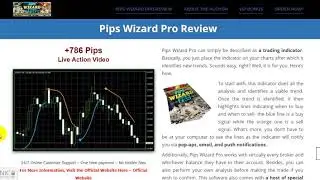 pips wizard pro buy/sell trend indicator - Brand new fx product
