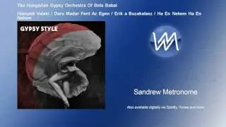 The Hungarian Gypsy Orchestra Of Bela Babai - Hianyzik Valaki / Daru Madar Fent Az Egen / Erik a Buz