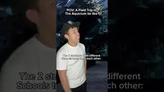 Different Types of Students in a Field Trip💀 #foryou #shorts #funny #relatable #comedy #trending