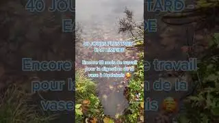 Voici les premiers r&eacute;sultats de l&rsquo;&eacute;tang de Nodebais trait&eacute; il y a 40 jours