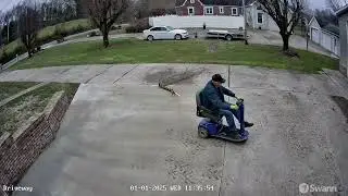 Moving limbs from a bradford pear tree