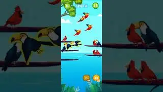Color bird sort puzzle game play level 04 easy  tips and tricks# shorts# viral# subscribe# YouTube#