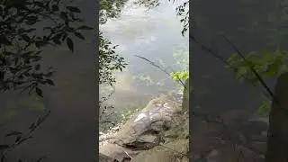 Insane waterfall an hour away from Philly must see and visit this state park