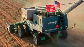 Peanut harvest 🥜2020🥜 Amadas 9980 combine