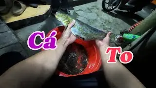 Ngâm Dọ 5 ngày - Được cá Nheo to ăn lẩu/Nguyễn Ngân TV