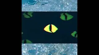 edited abyss monarch cookie 's intro bc had it in my gallery #cookierunovenbreak#abyssmonarchcookie
