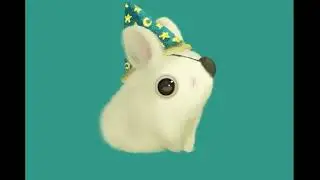 Pirate mage bunny