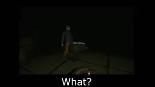 The Long Dark Multiplayer WHAT?