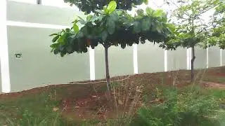 Commercial plot in rourkela