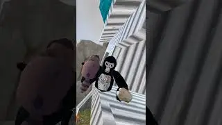 🏟️ Collab in Gorilla Tag 🦍 w/ Michael, Richie and Rusty 🤠 & we saw the 🆕 Update with added Features