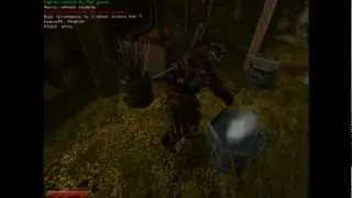 Gothic 2 Multiplayer
