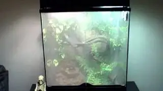 EXO-TERRA RAIN FOREST KIT TERRARIUM WATERFALL & FOGGER