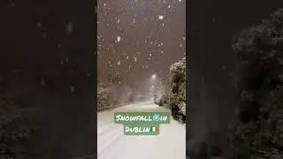 Snow Way! Winter Wonderland in Dublin - A Rare and Magical Snowfall in Ireland 🇮🇪❄️