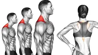 Fix Bad Posture At Home (No Equipment Needed)
