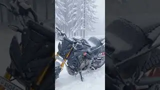 mt 15 lover #viral #trending #trendingshorts #reels #art #youtube #bike #rider #viralreels #newreel