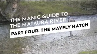A Mataura River Fly Fishing Guide | Part Four: The Mayfly Hatch