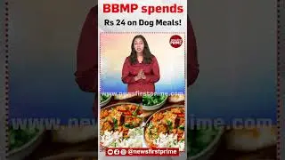 BBMP spends Rs 24 on Dog Meals!&nbsp;| @newsfirstprime
