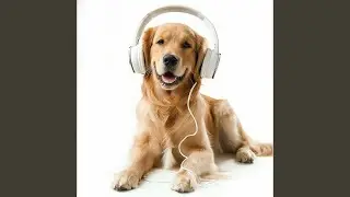 Wagging Tails and Woof Woof Woofs