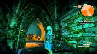The Witcher 3 Wild Hunt - Один из многих багов №2