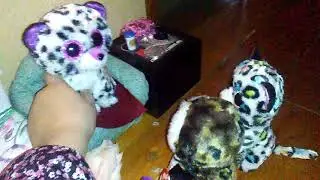 Beanie boos love story