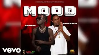 Adi Virgo, Nation boss - Mood Remix (Official Audio)