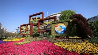 China-UAE infrastructure projects within BRI under construction