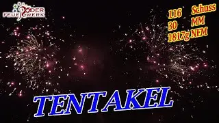 💥💥R&ouml;der Feuerwerk Tentakel Verbund/Neuheit 2025🔥🔥