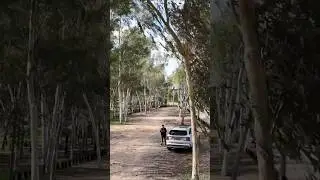 @DJI @Israel #footage#drone#forest  #nature